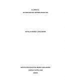 EL ENSAYO, UN FRACASO DEL SISTEMA EDUCATIVO