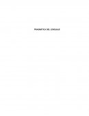 Pragmatica del lenguaje.