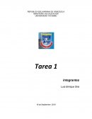 VENTAJAS DE SER UN PROPIETARIO ÚNICO.