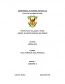 LECTURA Jarrón Azul