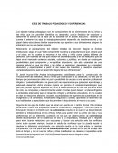 EJES DE TRABAJO PEDAGÓGICO Y EXPERIENCIAS.