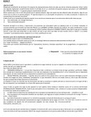 Teorias Psicologicas (Kohut, Klein, Erikson, Hartmann,Winnicott)