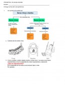 Actividad libre - ciencias naturales.