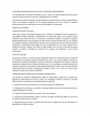 AUDITORIAS INDEPENDIENTES EN APOYO DE LA AUDITORIA GUBERNAMENTAL.