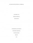 AUTOMATIZACIÓN EN EL SECTOR INDUSTRIAL COLOMBIANO.