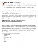 Inforne de densidades.