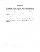 Análisis de los Derechos Fundamentales en la Constitución de la Republica Dominicana