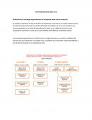 Comercializadora de pollos la 10