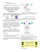 Señalización Telefonica