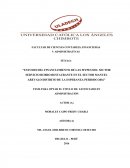 ESTUDIO DEL FINANCIAMIENTO DE LAS MYPES DEL SECTOR SERVICIO RUBRO RESTAURANTE.