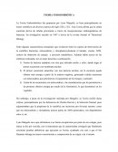 Teoria endosimbiotica.