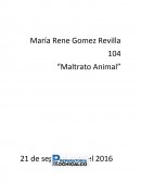 En el tema del maltrato animal existen muchas opiniones