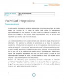 Actividad integradora Proceso de enfermería