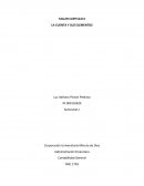 Taller de Contabilidad Geberal. LA CUENTA Y SUS ELEMENTOS