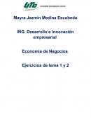 ING. Desarrollo e innovación empresarial Economía de Negocios