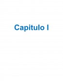 Capitulo 1. Tema Especifico