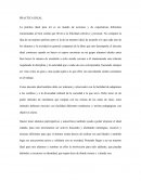 PRÁCTICA DOCENTE IDEAL