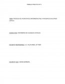 PROCESO DE ATENCION DE ENFERMERIA (PAE) A PACIENTES EN ESTADO CRÍTICO.