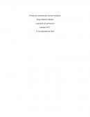 Prestación económica por lesiones múltiples