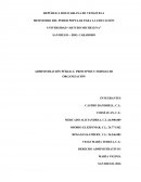 Administración pública: Principios y formas de organización