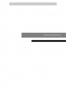 Términos de Referencia “A&N Consultores”