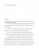 SISTEMA MUSCULAR HUMANO