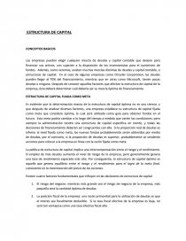 ESTRUCTURA DE CAPITAL CONCEPTOS BASICOS. Página 1