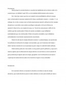 Quizá porque los acontecimientos se suceden tan rápidamente aún no hemos caído en la cuenta de que, en realidad el siglo XXI ya se ha instalado definitivamente entre nosotros.