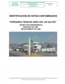 Peregrina troncos Abad vda. de Galvez