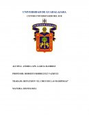 Circo de las mariposas comentario.