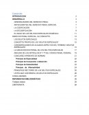 ENSAYO DE DELITOS ESPECIALES.