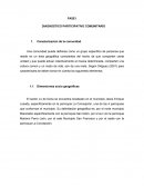 Presupuesto de inversion.