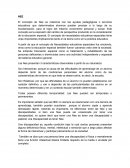 Necesidades Educativas Especificas.