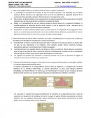 ¿Qué es toxicología? Defina los conceptos de efectos tóxicos, riesgo y xenobióticos.