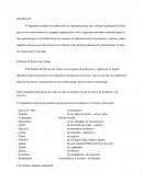 Planeacion de Precios.