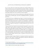 El economista camuflado y la agricultura.