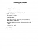 Administración y finanzas: PYMES