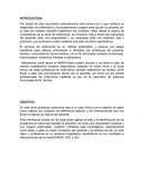 Procesto de atencion Enfermero.