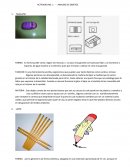 Actividad 1 fundamentos de diseño.