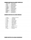 NOMBRES CIENTIFICOS DE ALGUNAS HORTALIZAS