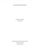 PROYECTOS TRANSVERSALES.