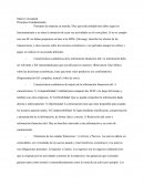 Resumen Marco Conceptual