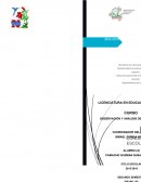 OBSERVACIÓN Y ANÁLISIS DE LA PRACTICA II