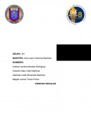 CIENCIAS SOCIALES ACTIVIDAD INTEGRADORA.