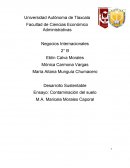 Ensayo: Contaminación del suelo