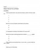 Repaso Ciencias de 7mo - Las Plantas