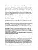 ¿Cuáles son los principales problemas de este caso con respecto al proceso administrativo?