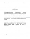 Laboratorio de hidrocarburos.