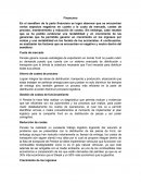 Trabajo Ford - Penske