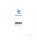 Pronósticos en la cadena de suministro.